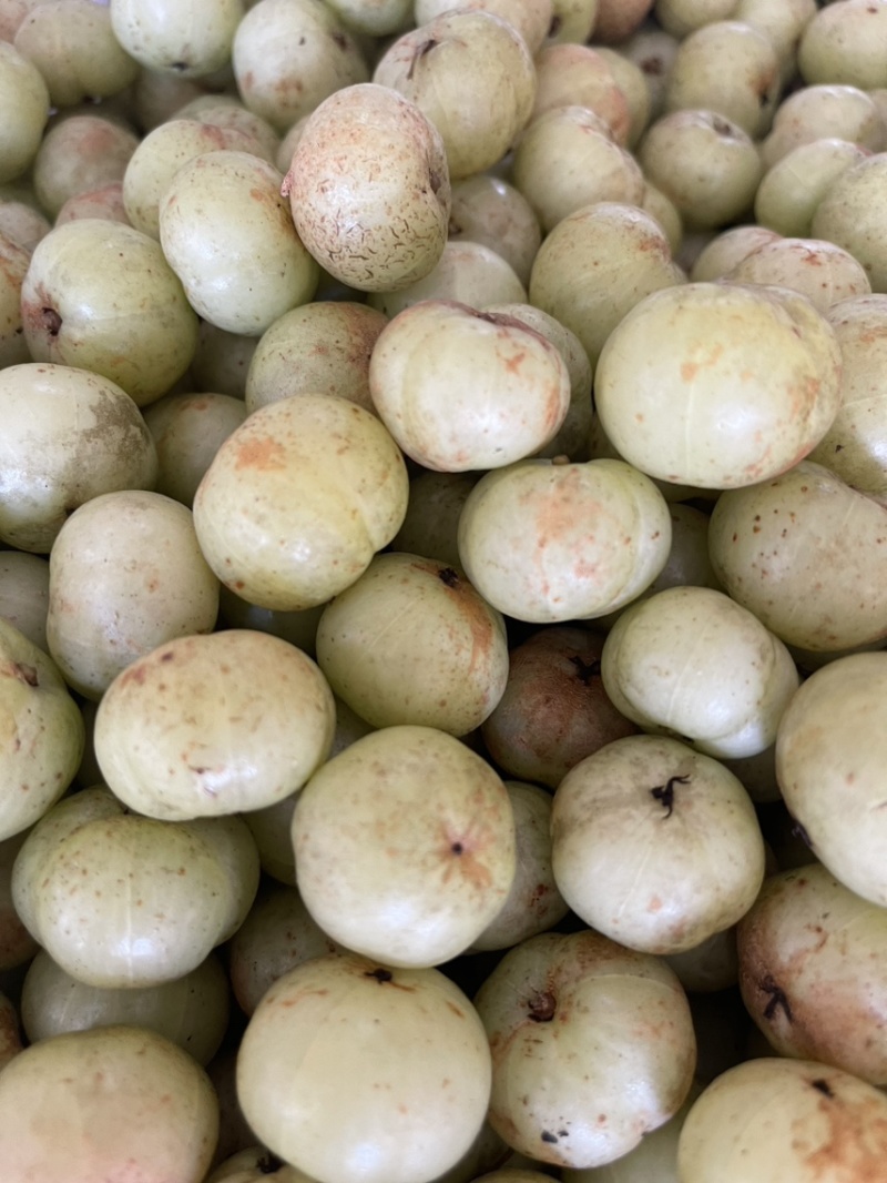 广东甜油甘，丙甜牛柑果奶茶店榨汁摆摊优品