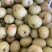 广东甜油甘，丙甜牛柑果奶茶店榨汁摆摊优品