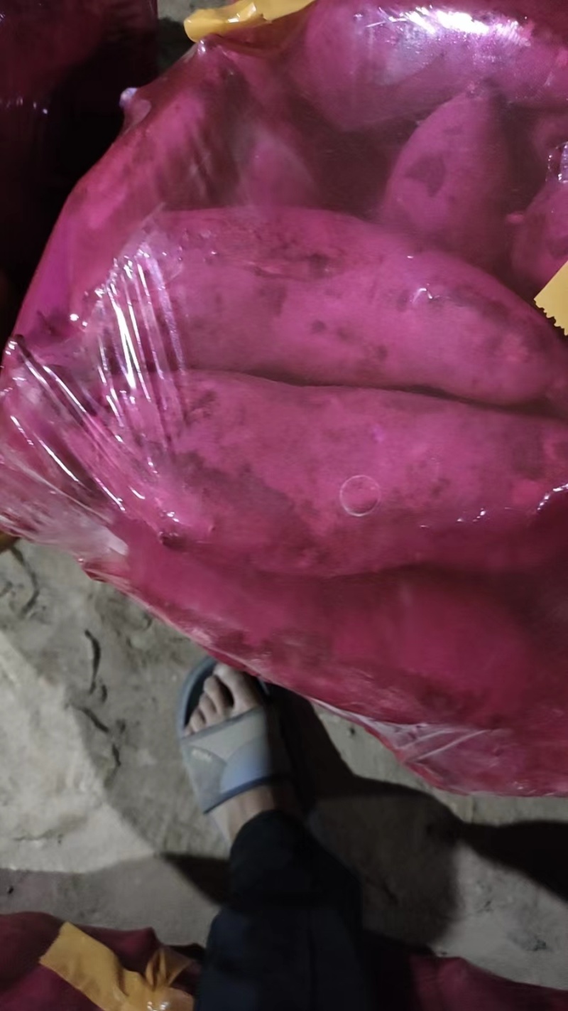河南祥符区龙久精品大头