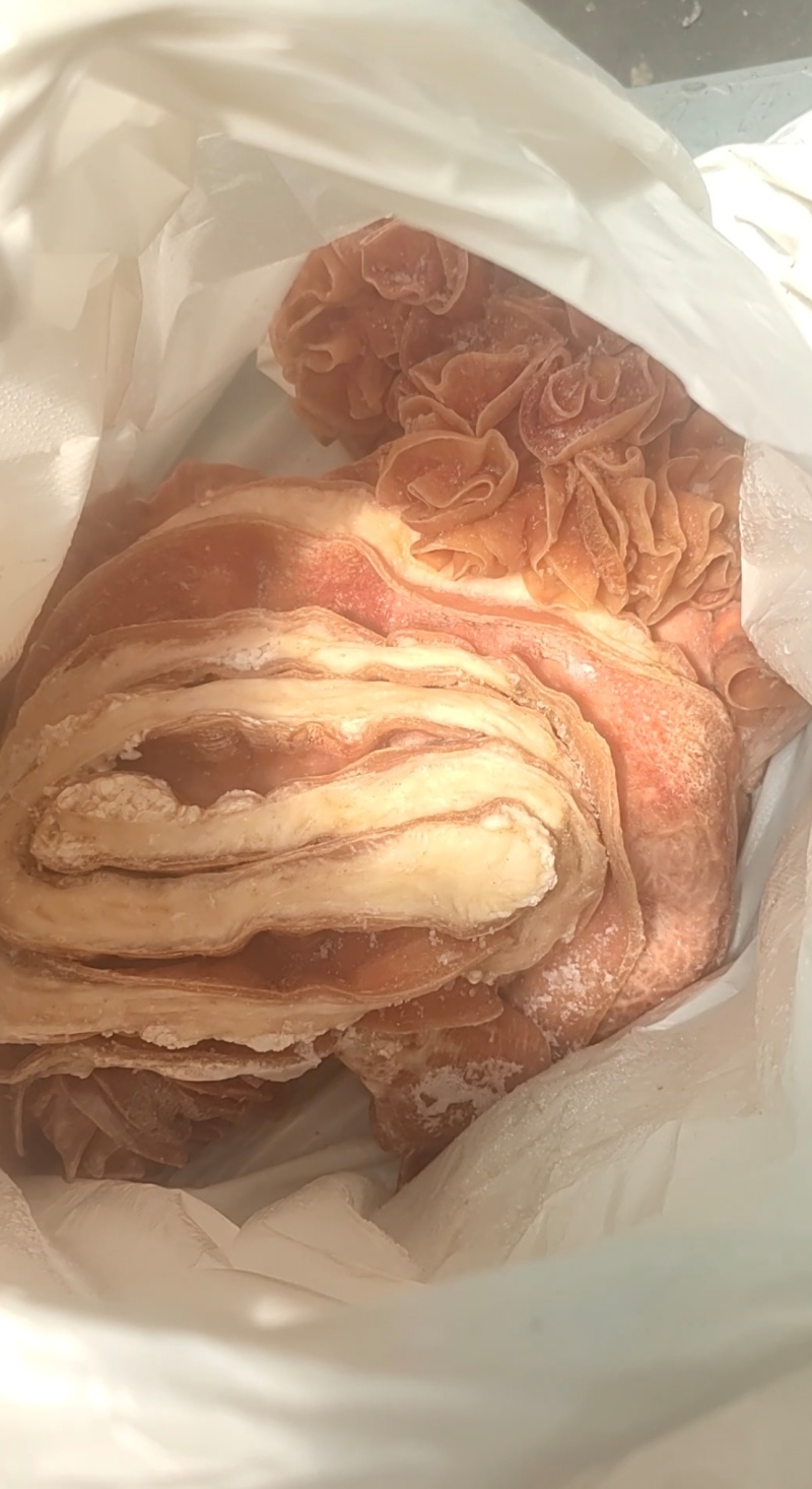 牛盘肠