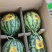 甘美4k大量现货一手货源保质保量专业对接市场电商
