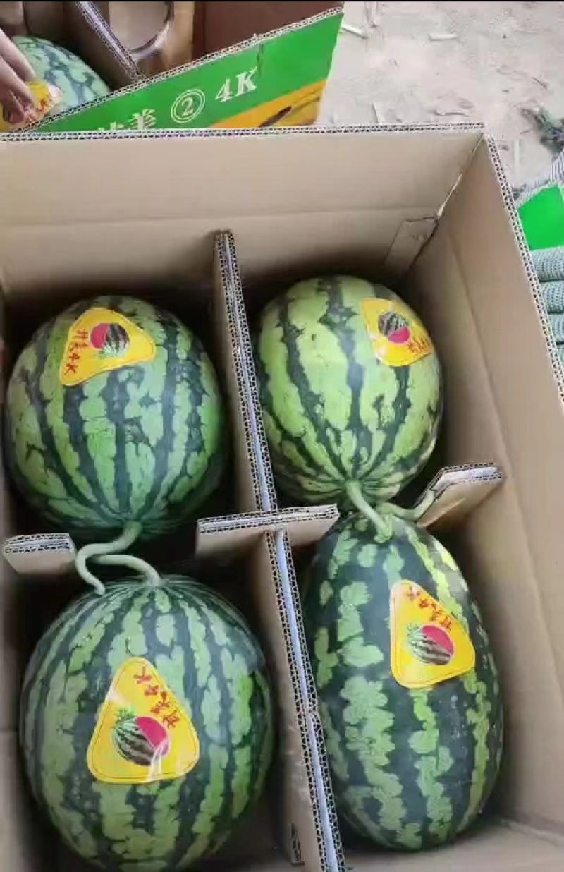 甘美4k大量现货一手货源保质保量专业对接市场电商
