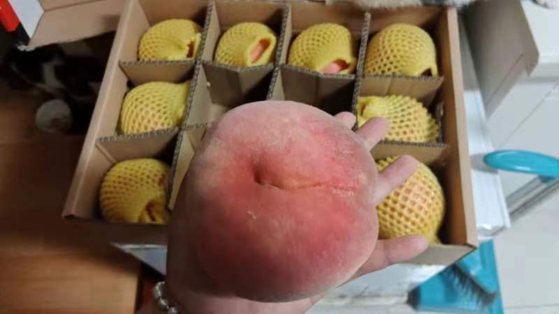 咸桃产品包装展示图