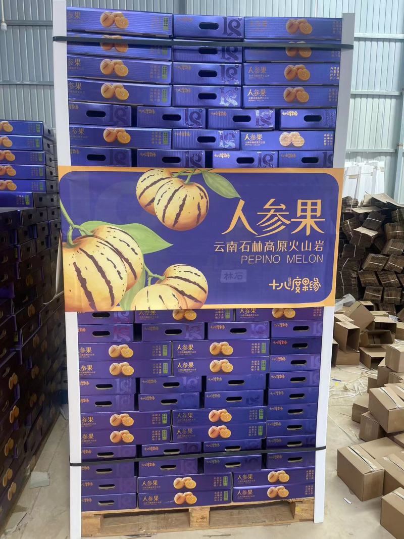 【热销】云南树上熟人参果线上一件代发全国包邮坏果包赔