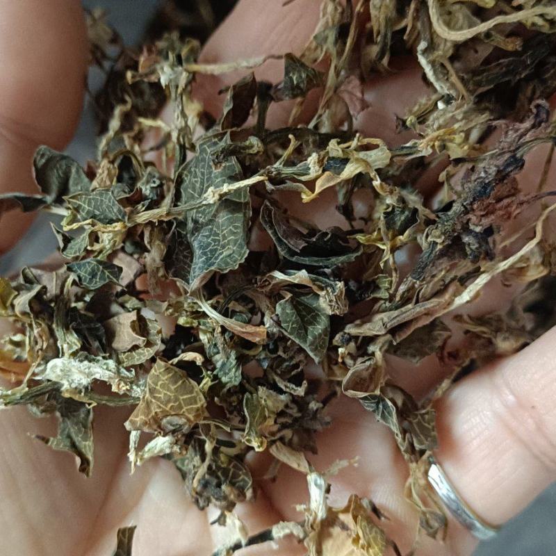 仿野生金线莲(味香，汤浓)一斤起售，量大价优