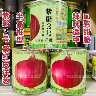 紫璐3号洋葱种子秋季紫红皮洋葱种籽甜脆微辣型高扁圆球形