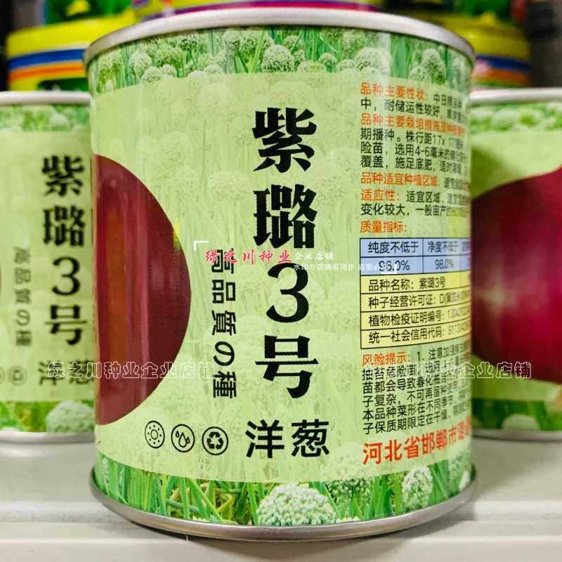 紫璐3号洋葱种子秋季紫红皮洋葱种籽甜脆微辣型高扁圆球形