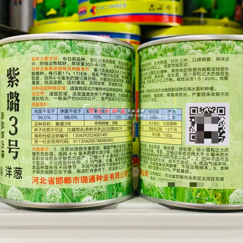 紫璐3号洋葱种子秋季紫红皮洋葱种籽甜脆微辣型高扁圆球形