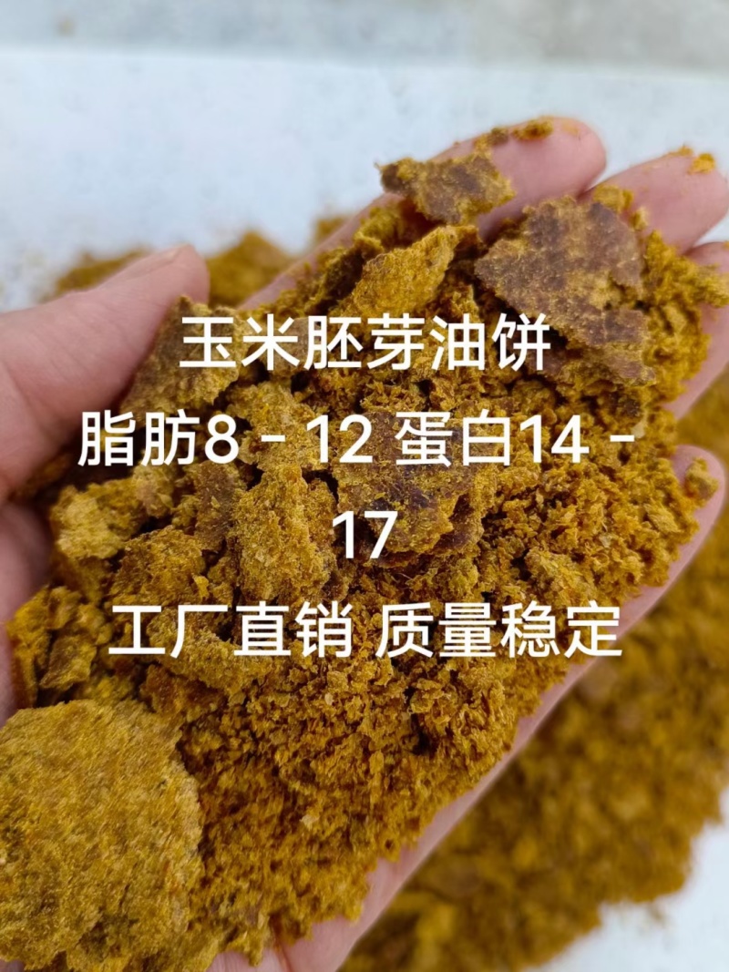 厂家供应玉米胚芽饼玉米胚芽油饼玉米胚芽粕价格合理优