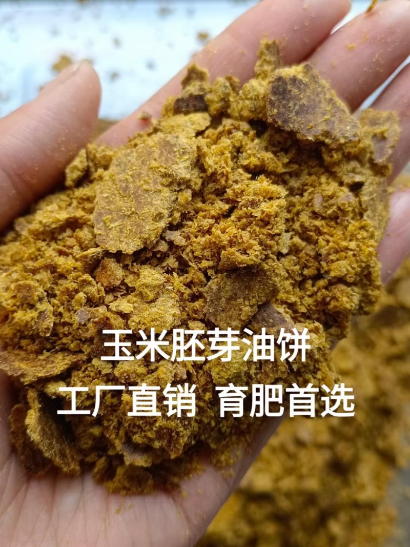 厂家供应玉米胚芽饼玉米胚芽油饼玉米胚芽粕价格合理优