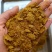 厂家供应玉米胚芽饼玉米胚芽油饼玉米胚芽粕价格合理优