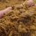 厂家供应玉米胚芽饼玉米胚芽油饼玉米胚芽粕价格合理优