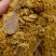 厂家供应玉米胚芽饼玉米胚芽油饼玉米胚芽粕价格合理优