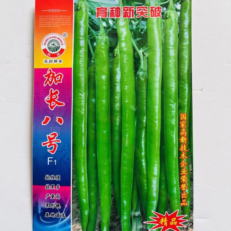 长龙56线椒种子辣椒苗超辣四季香辣高产大长蔬菜种籽