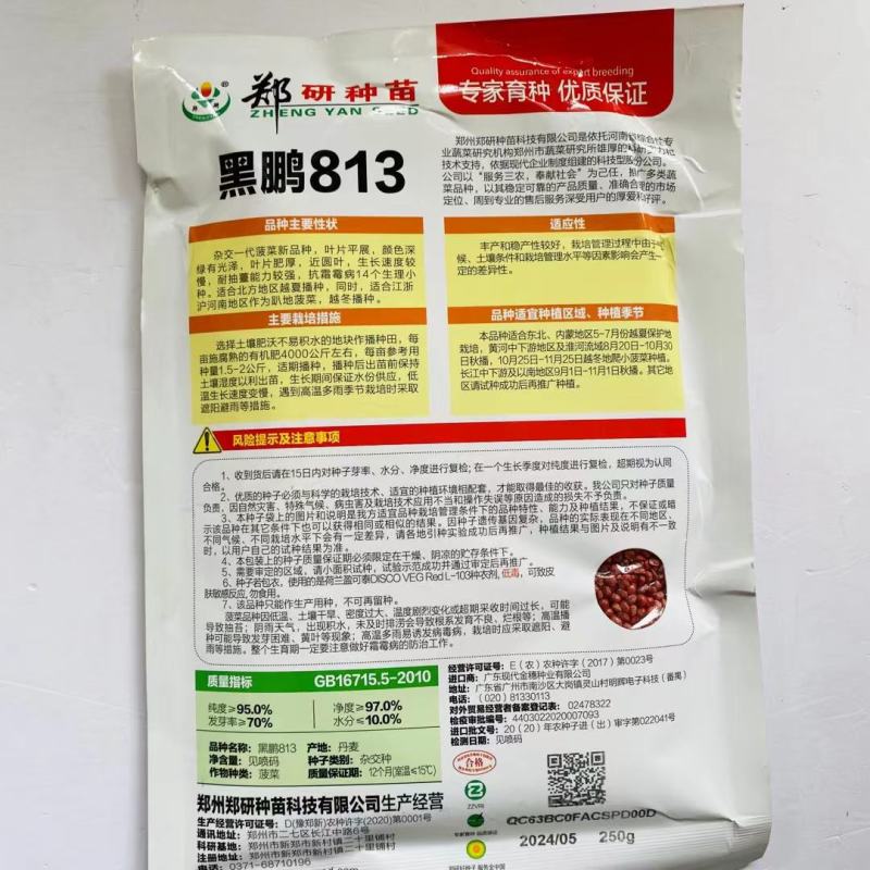 黑鹏813杂交一代黑圆叶菠菜种子叶片肥厚耐抽苔品种可做