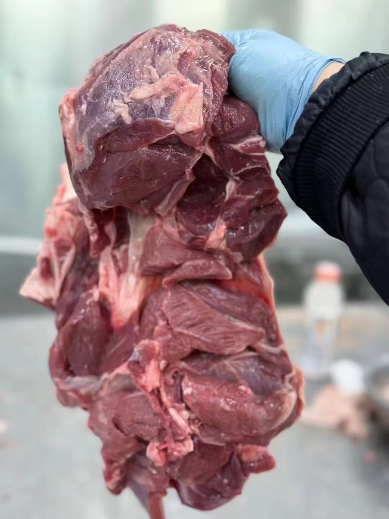 精修羊后腿肉纯干货穿串酒店饭店羊汤馆质量保证