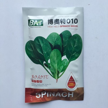 博奥特010荷兰引进杂交菠菜种子叶色深绿平展有光泽耐寒性