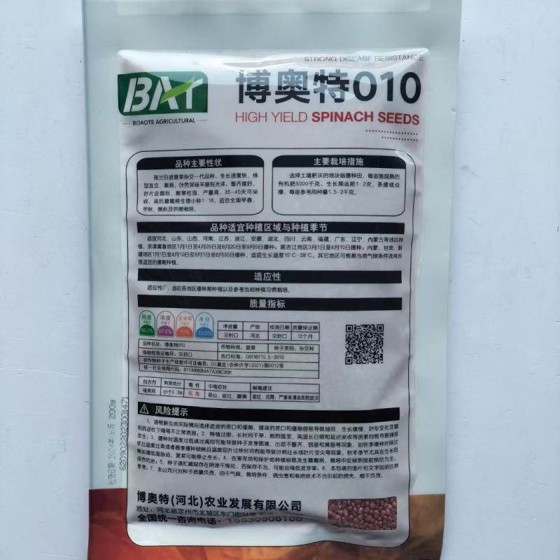 博奥特010荷兰引进杂交菠菜种子叶色深绿平展有光泽耐寒性