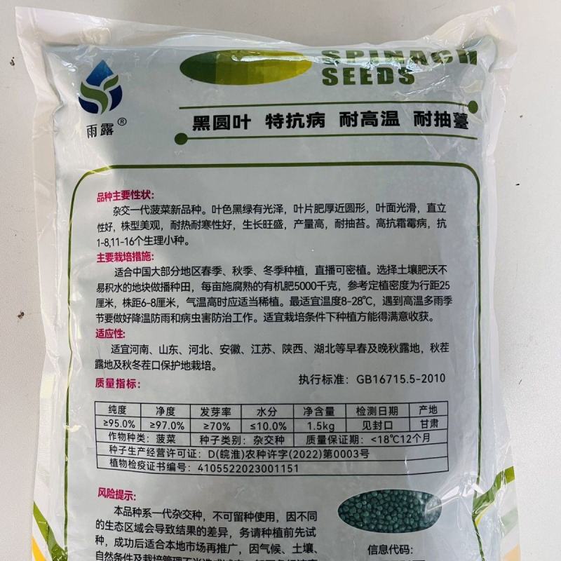 中菠108耐热耐寒菠菜种子耐抽苔直立性强半圆黑叶厚菠菜大