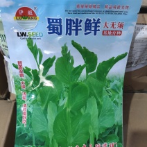 豌豆种子蜀胖鲜精选大无须豌豆尖品种粗胖鲜嫩脆