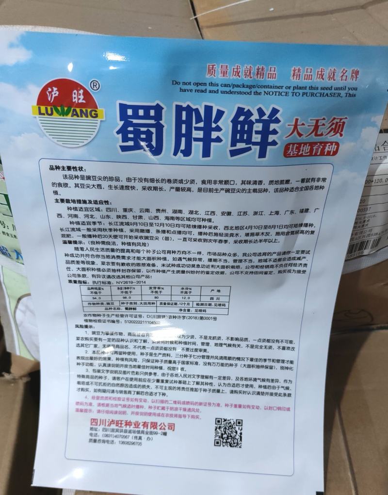 豌豆种子蜀胖鲜精选大无须豌豆尖品种粗胖鲜嫩脆