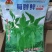 豌豆种子蜀胖鲜精选大无须豌豆尖品种粗胖鲜嫩脆