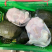 生态甲鱼
