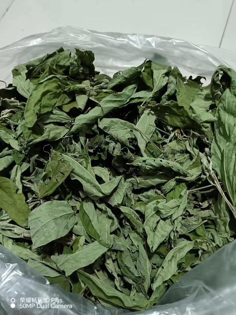 云南种植基地常年供应木豆叶根花茎批发零售