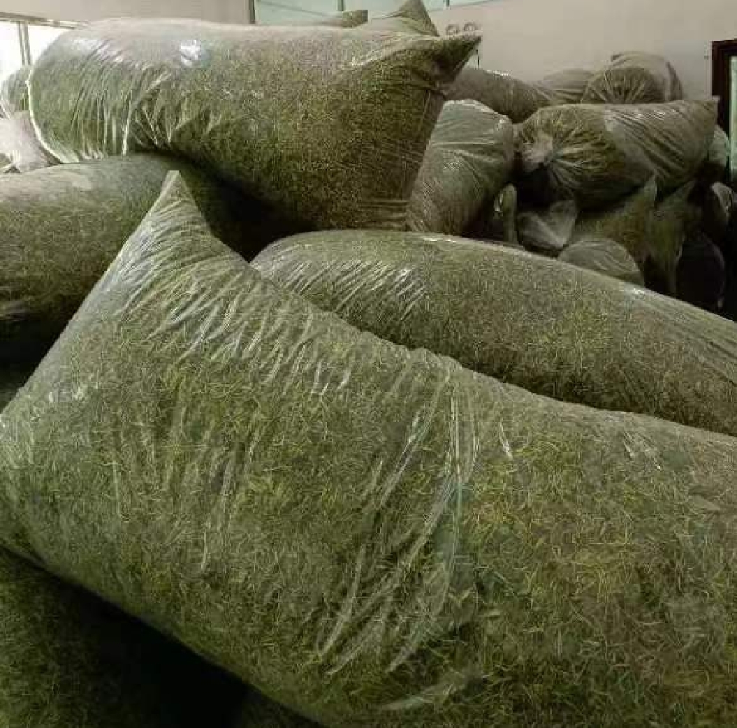 云南玉溪江川区双色金盏花标准化种植基地,采用滴灌系统与防虫网棚(40目),行距40 cm,株距25 cm;田间可见明显分带:左侧为初花期采收带(舌状花展开率<25%),中部为盛花期观赏带,右侧为种子生产带;远处山体为抚仙湖流域,土壤pH值6.2–6.5,有机质含量3.8% 云南玉溪GAP认证双色金盏花种植基地航拍图