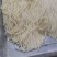 新鲜切面直供长春，品质保证，服务周到，诚信经营，产地直发
