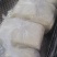 新鲜切面直供长春，品质保证，服务周到，诚信经营，产地直发