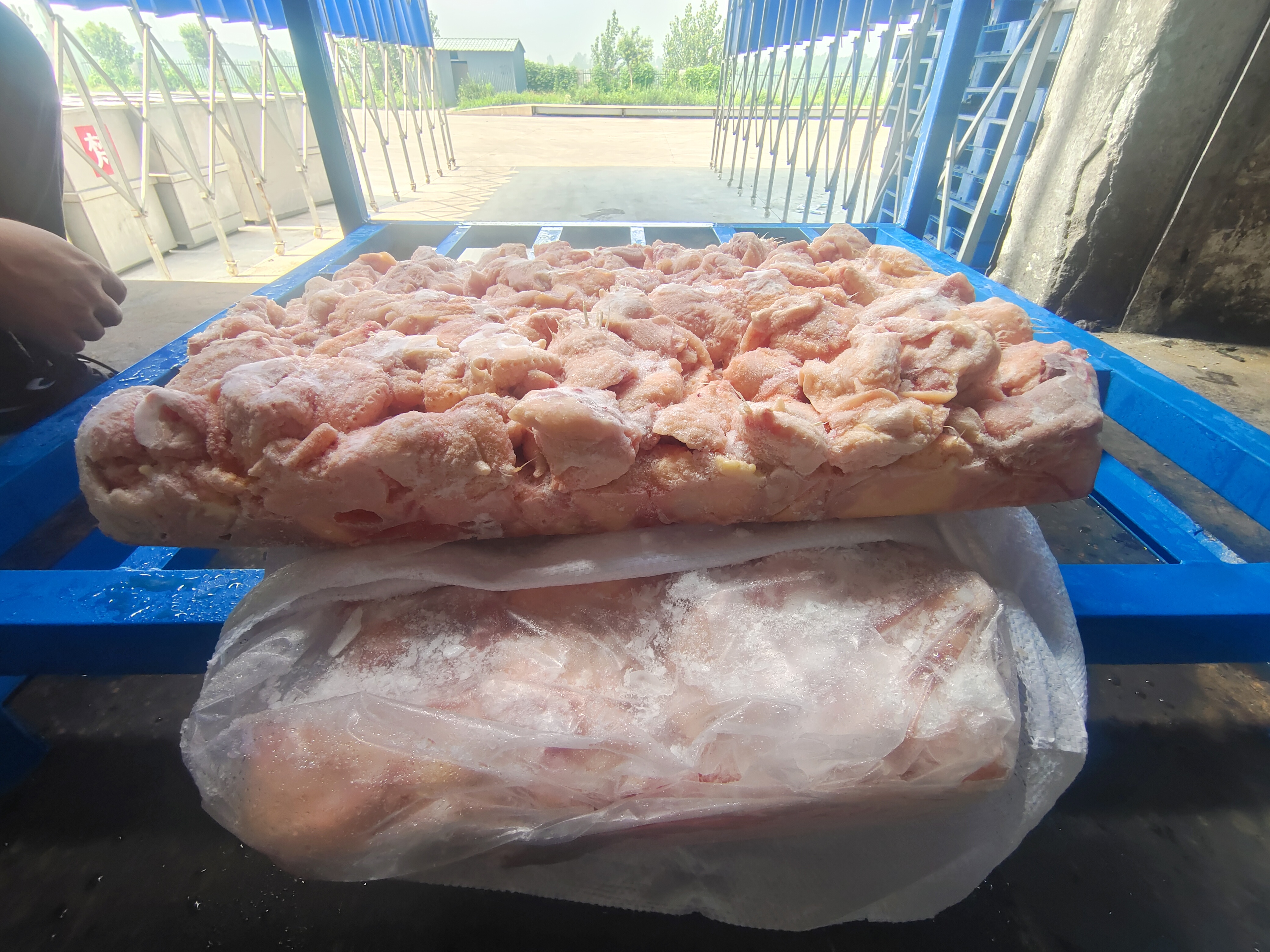 一个传统农贸市场内的禽肉摊位,不锈钢台面上整齐摆放着带骨鸡腿,皮肤完整呈淡米色,摊主佩戴口罩和手套,背景可见其他顾客选购,上方悬挂‘冷鲜鸡肉’标识牌 农贸市场鸡腿摊位实景