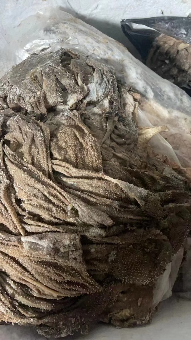 掉毛牛百叶