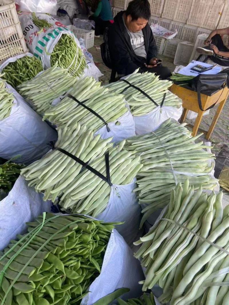 河北张家口四季豆产地发货一手货源批发品质保证价格美丽