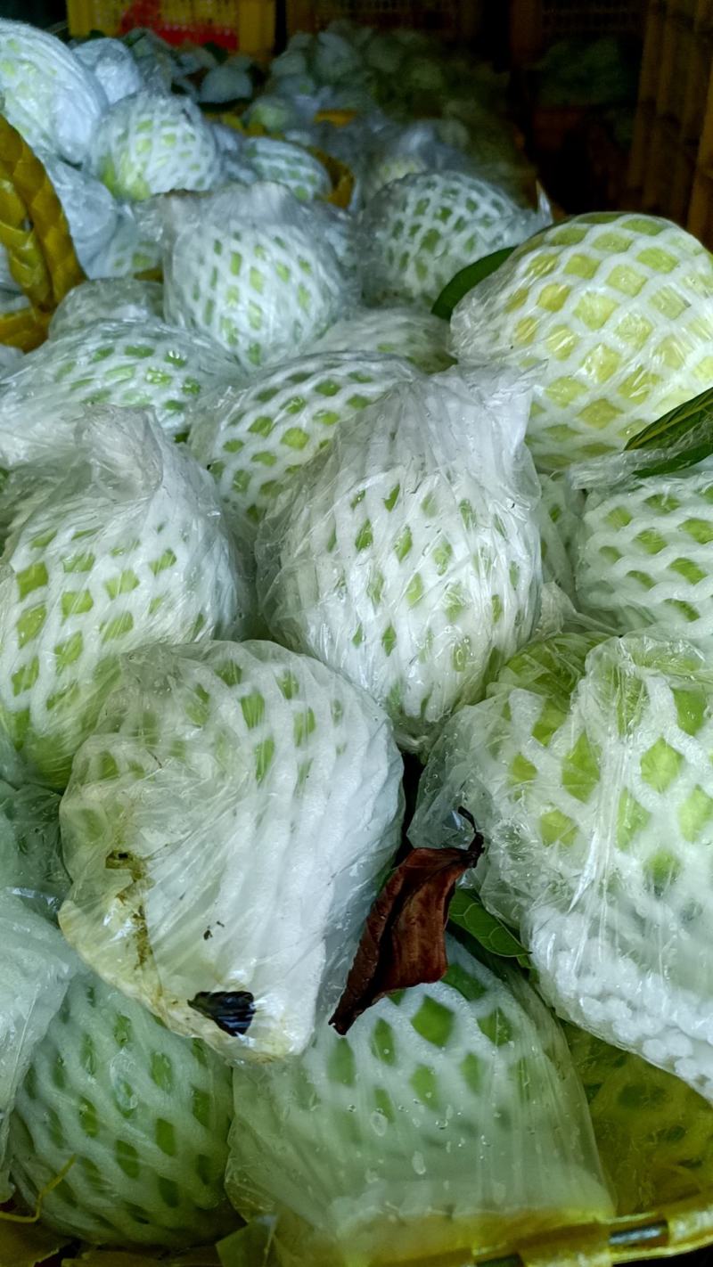 番石榴