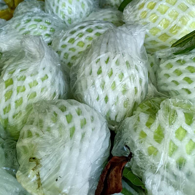 番石榴