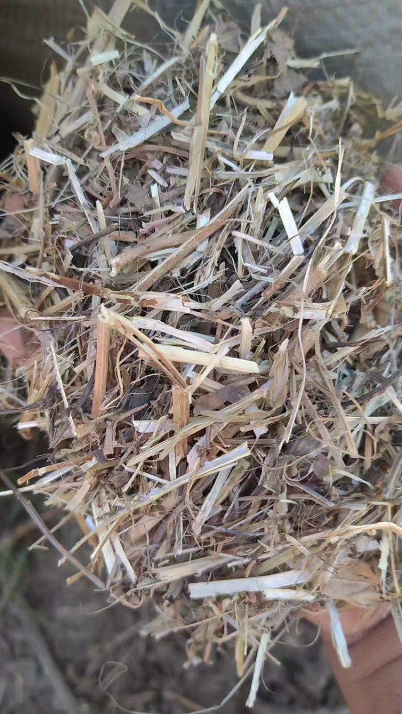 河南正阳花生秧品质把控诚信服务欢迎长期合作