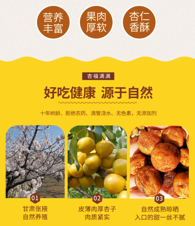 甘肃特产大颗珍珠油杏干