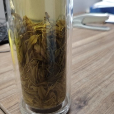 白茶
