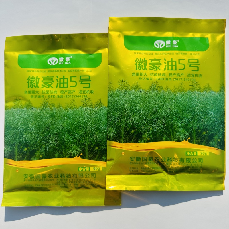 国豪油菜种籽徽豪油5号油菜籽种子矮杆大籽粒果粗大油菜籽