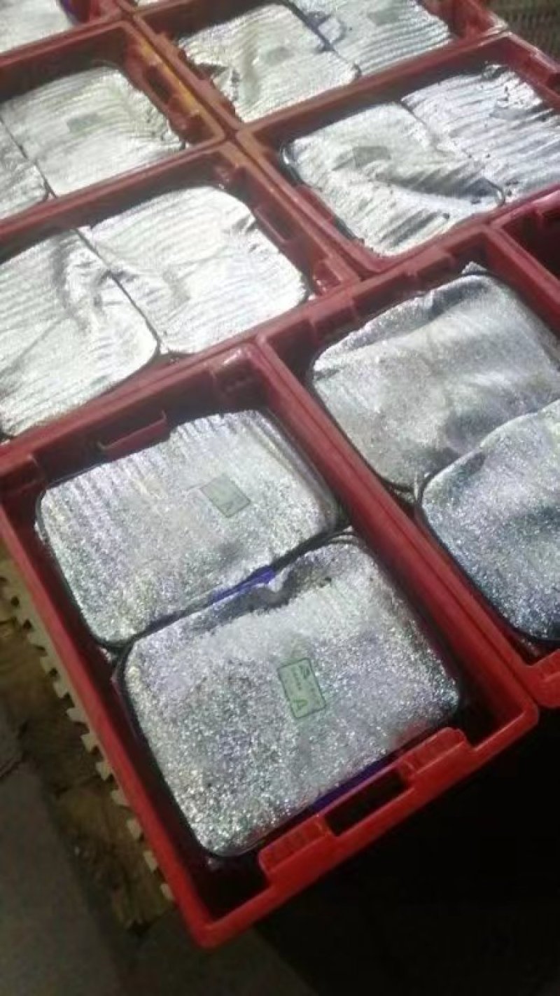 新鲜小蘑菇口蘑口菇白蘑菇一手货源实力代发全国商超