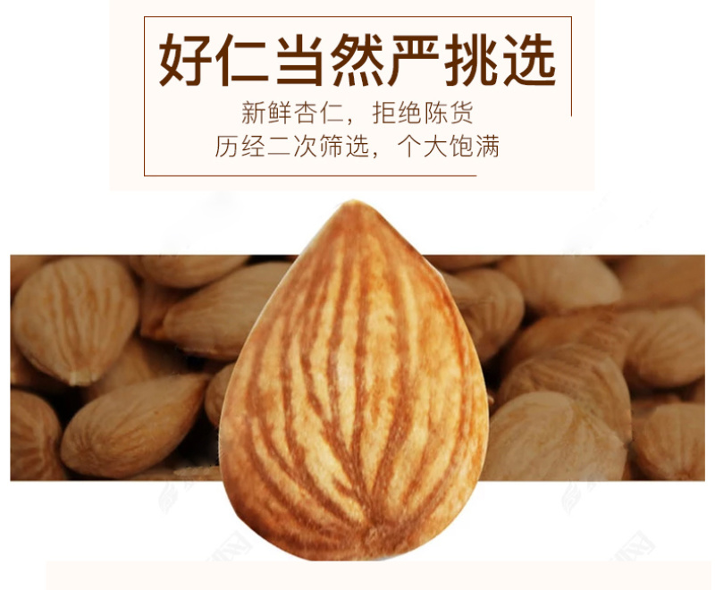 甘肃特产精选原味无壳原味杏仁