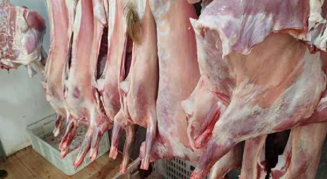 农贸市场摊位上的白条羊展示