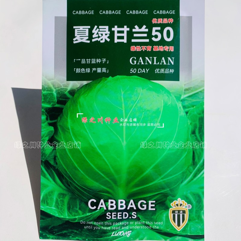 抗热夏绿甘兰5060甘蓝种子甜脆结球甘蓝种籽三季圆包菜种