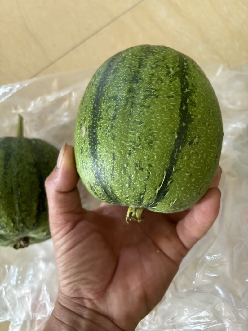 南方苹果丝瓜