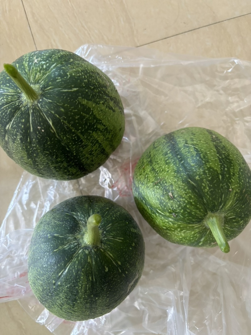 南方苹果丝瓜