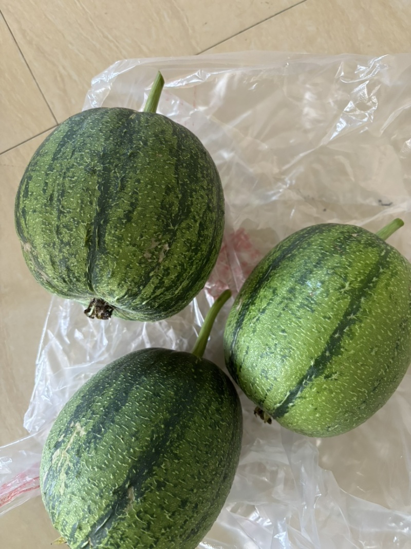 南方苹果丝瓜