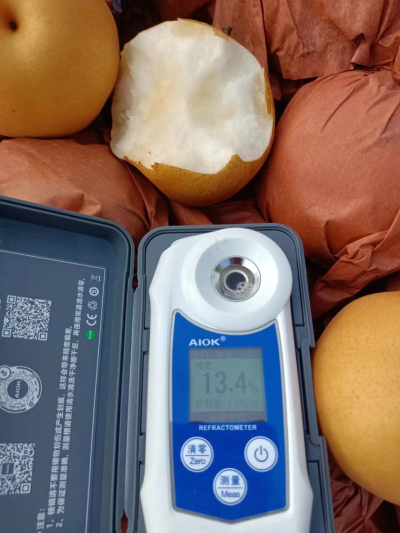 丰水梨套袋果表皮干净口感脆甜产量丰收六两起步对接批发商