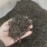 大红袍一手资源，量多从优，全国发货，欢迎咨询