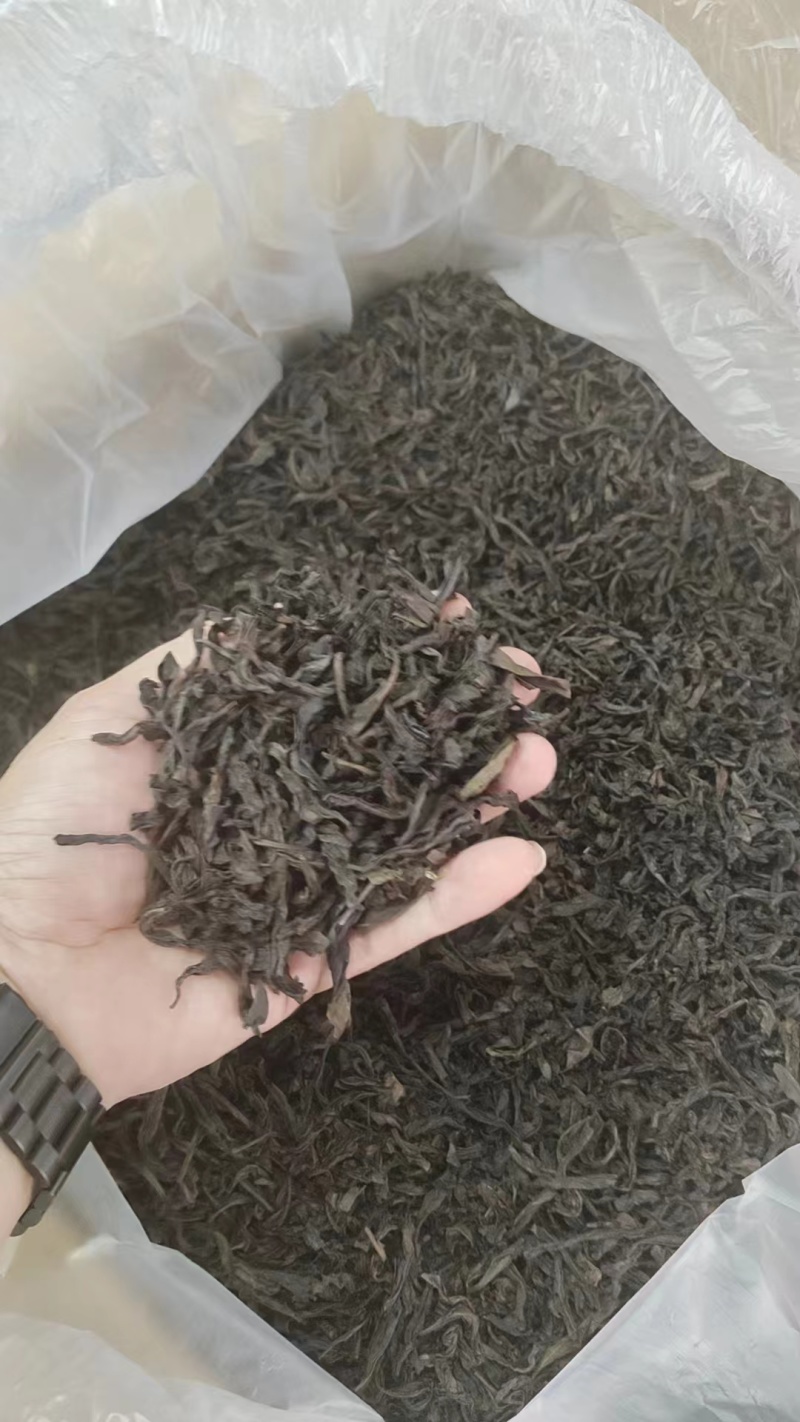 大红袍一手资源，量多从优，全国发货，欢迎咨询